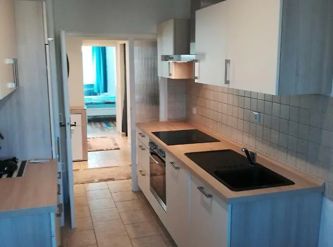 Lägenhet Ferien - Und Messewohnung Am Stadtpark