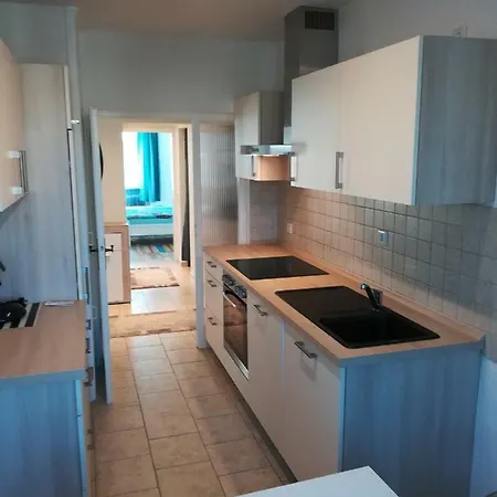 Апартаменты Ferien - Und Messewohnung Am Stadtpark